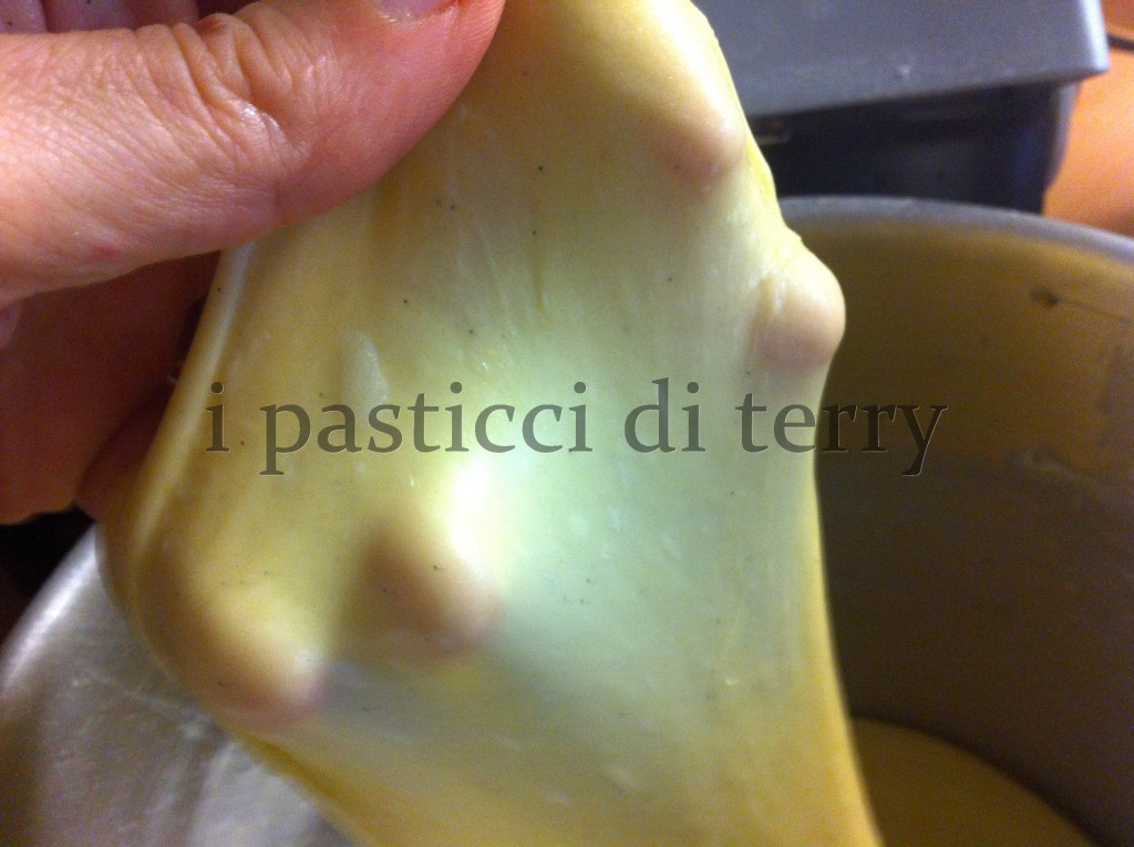 Panettone (4)