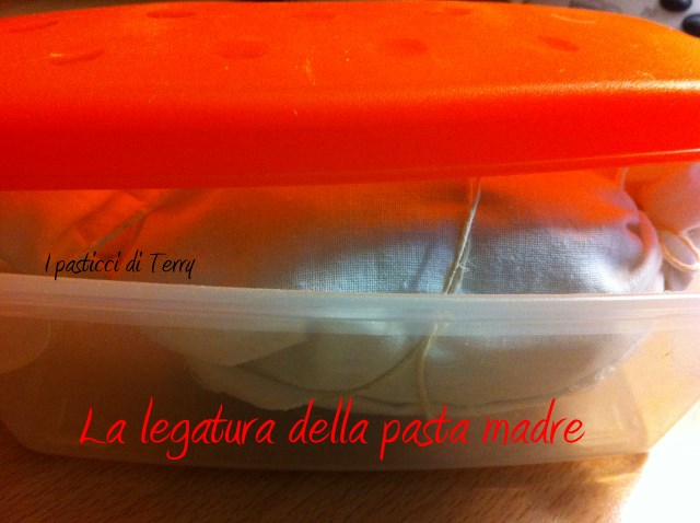 Pasta madre 3