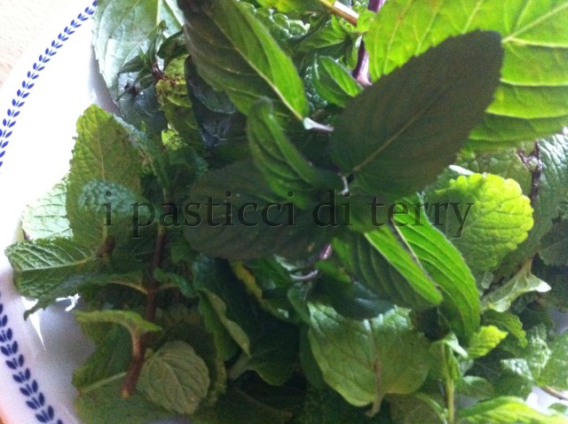 Liquore alla menta (3)