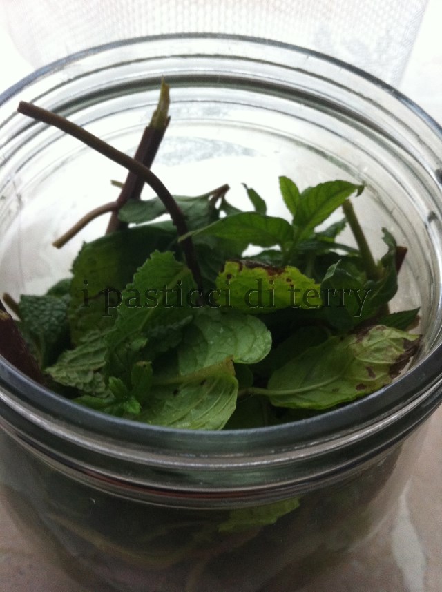 Liquore alla menta (5)