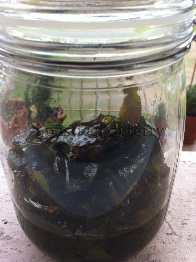 Liquore alla menta (9)