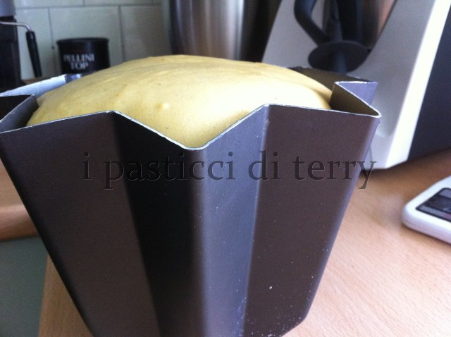 Pandoro (23)