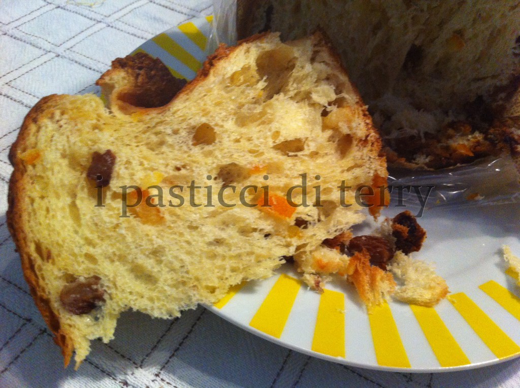 Panettone 08.11.13