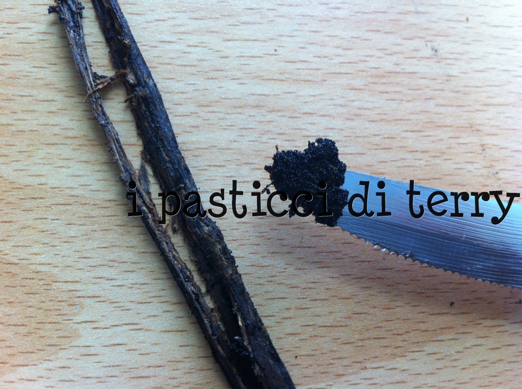 Essenza di vaniglia 044
