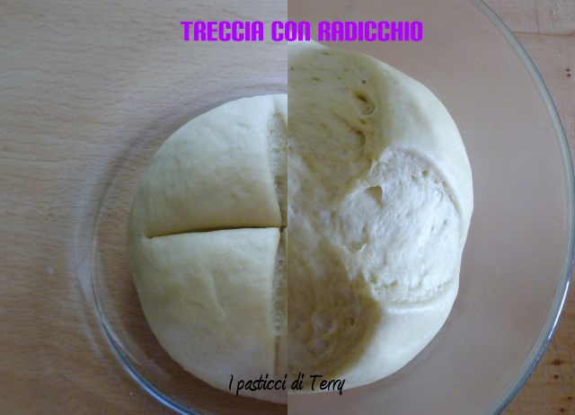 Treccia con radicchio e mozzarella (10)