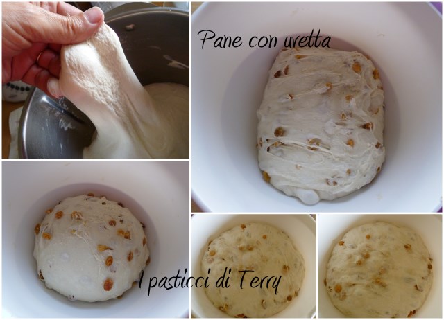 Pane con uvetta1