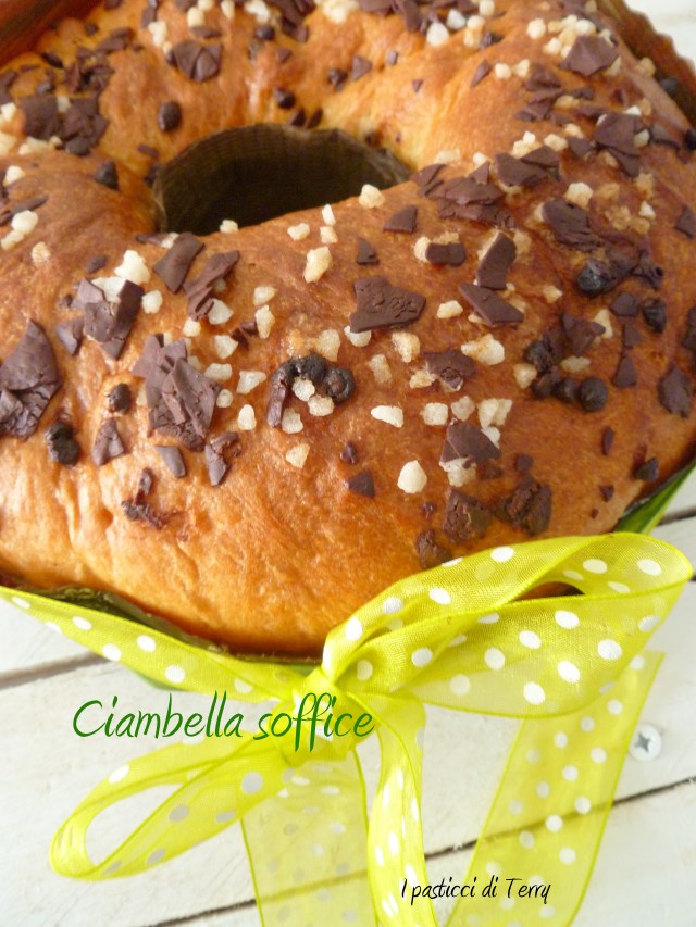 Ciambella soffice al cioccolato (12)