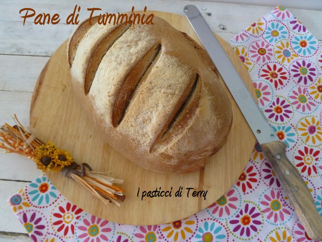 Pane di farina Tumminia (13)