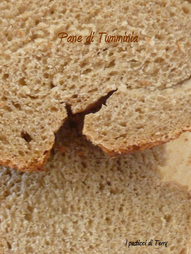 Pane di farina Tumminia (18)