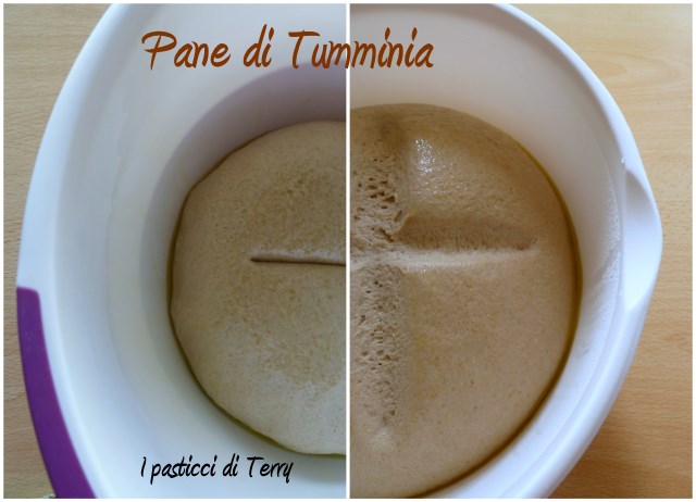 Pane di tummina e pasta madre