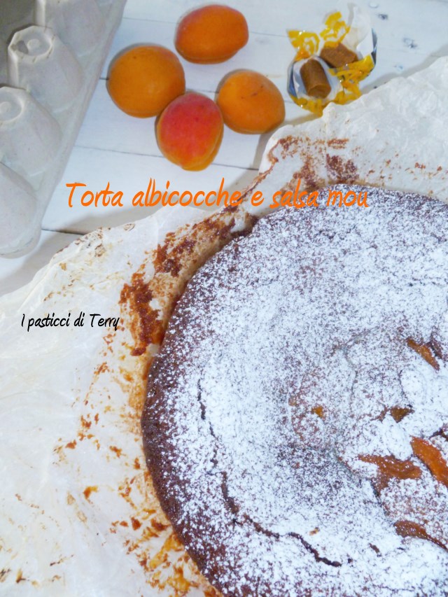 Torta albicocche e salsa mou (5)
