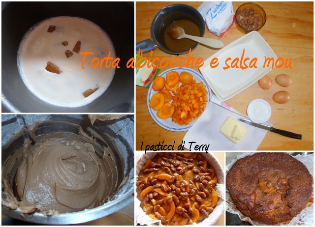 Torta albicocche salsa mou