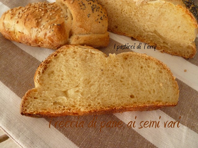 Treccia di pane ai semi vari (10)