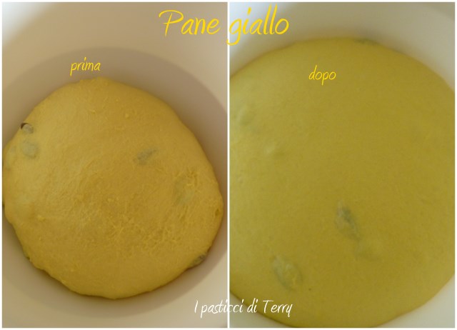 Sole giallo alle olive1