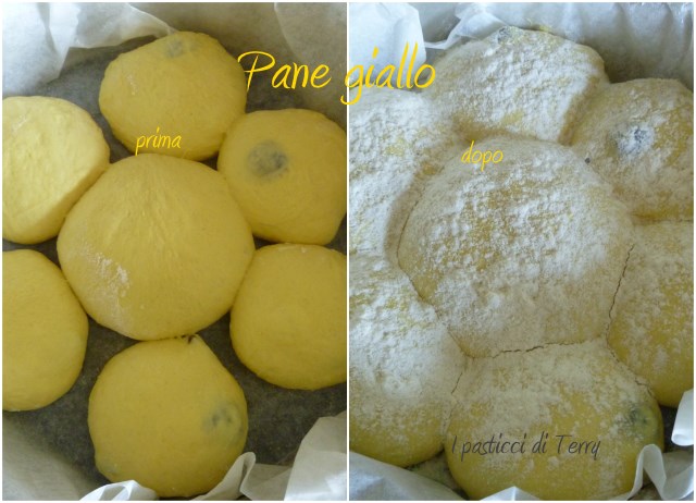 Sole giallo alle olive3