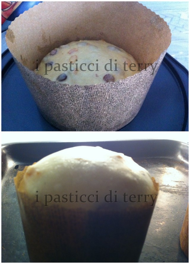 Panettone DiCarlo classico 21.113