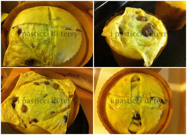 Panettone DiCarlo classico 21.114