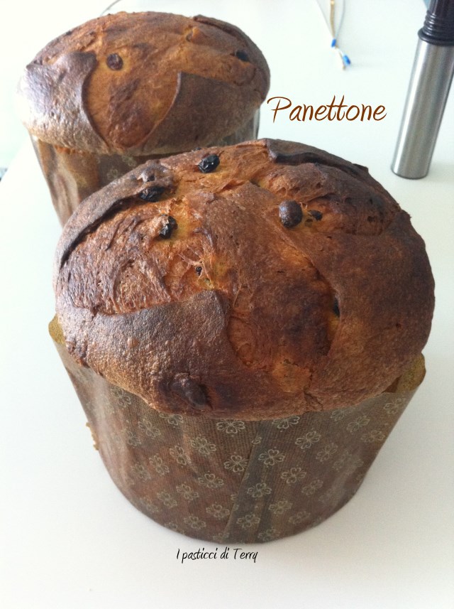 Panettone