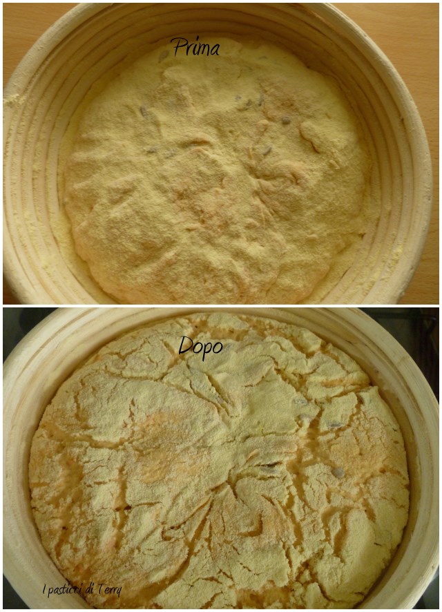 Pane - Pagnottone zucca e semi di girasole (25)