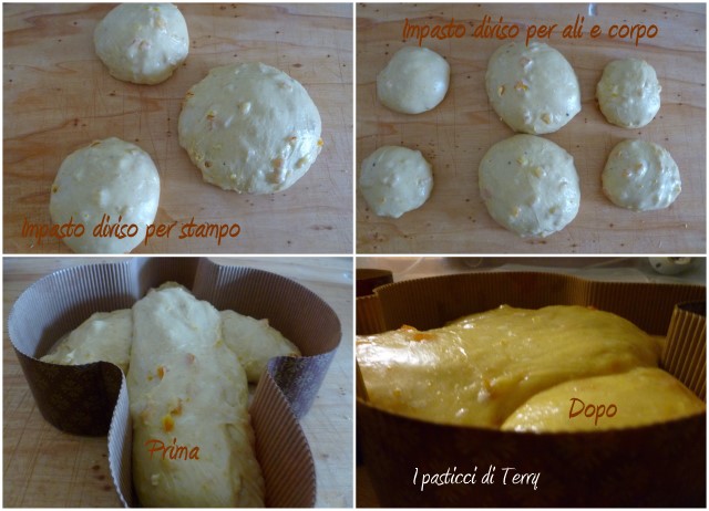 Colomba1