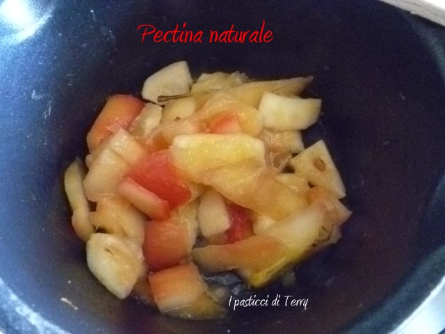 Pectina naturale (4)