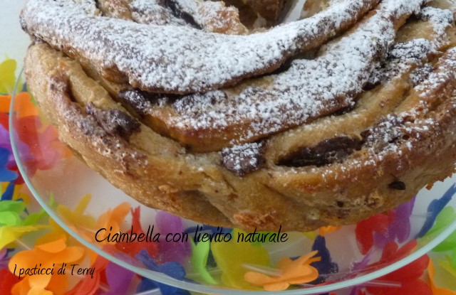 Ciambella con lievito naturale (25)