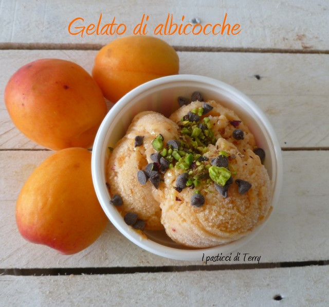 Gelato alle albicocche (6)
