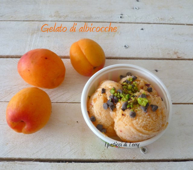 Gelato alle albicocche (7)