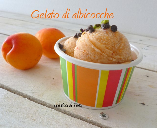 Gelato alle albicocche (9)