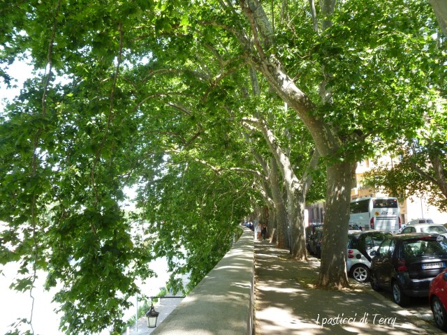 Roma (13)