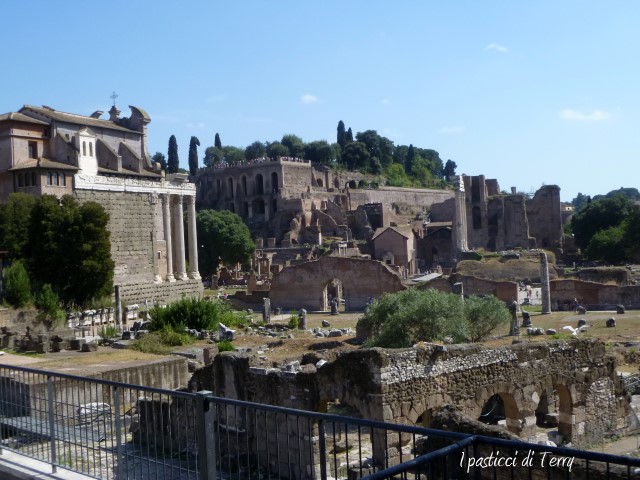 Roma (19)