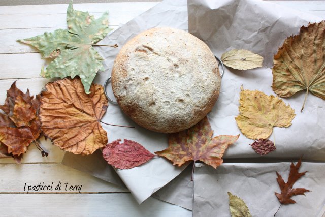 pane-con-esubero-di-pasta-madre-5-1