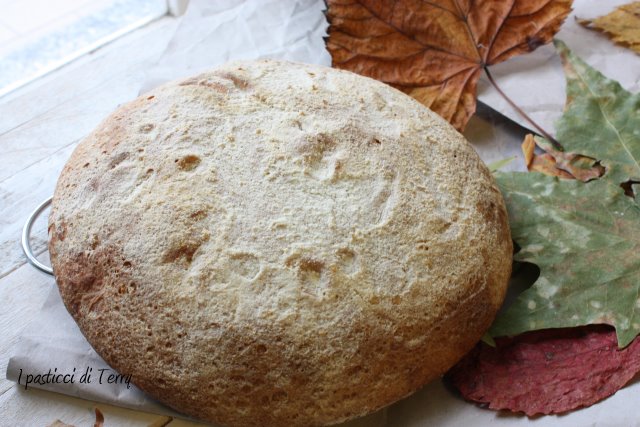 pane-con-esubero-di-pasta-madre-9