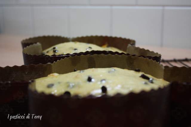 Colomba alla curcuma con mandarini e gocce di cioccolato (10)
