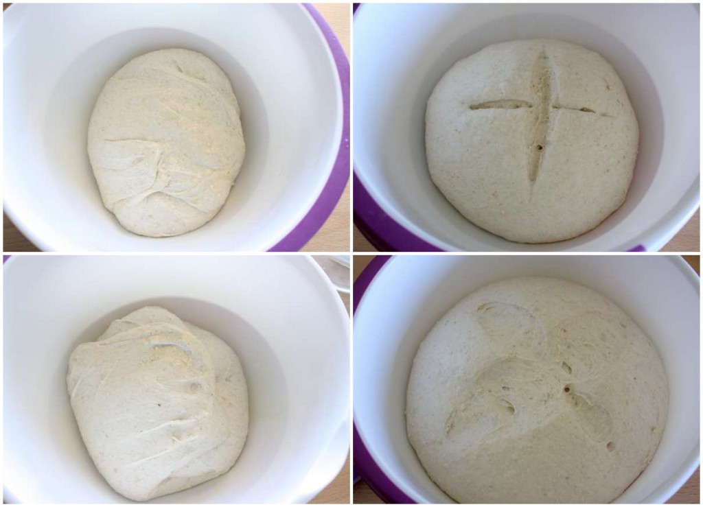 Pane semi integrale con crusca di avena1