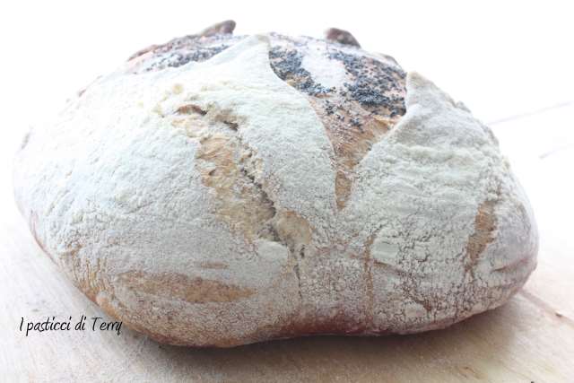 Pane semi integrale con farro e acqua di governo (19)