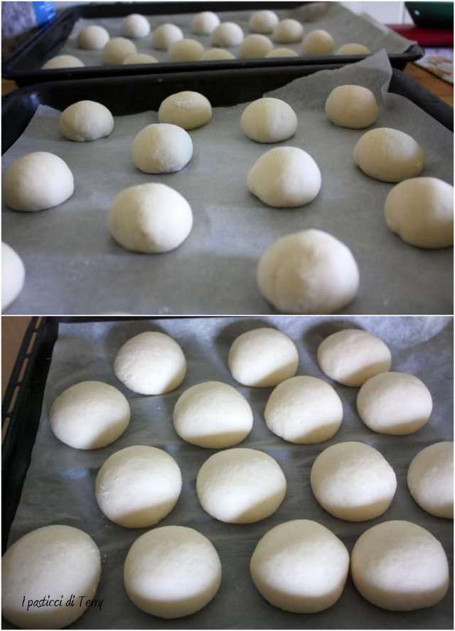 Panini morbidi al latte1