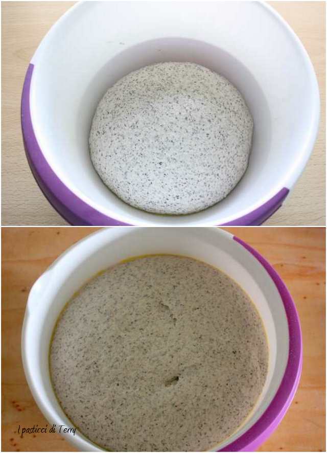 Friselle con grano saraceno1