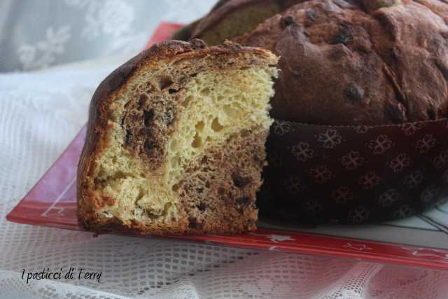 Panettone variegato (36)